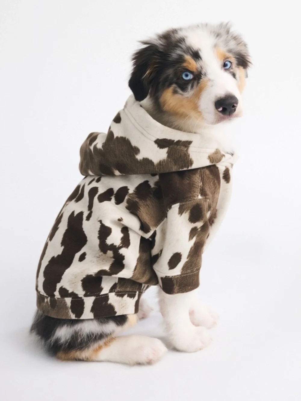 Abercrombie & Fitch A&F Essential Pet Pupover Hoodie Brown Cow Pattern Sz Large